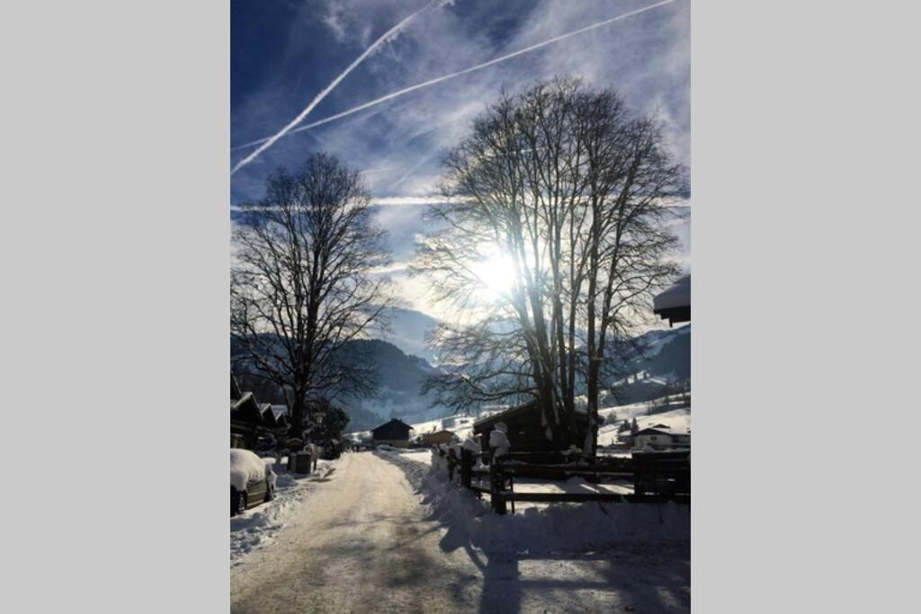 Sunny Apartment Maria Alm 外观 照片